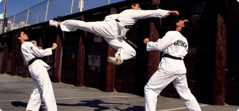 Andre Lima — 8th Degree Black Belt (Taekwondo); Black Belt (Brazilian Jiu-Jitsu), Head Instructor in Brazilian Jiu-Jitsu